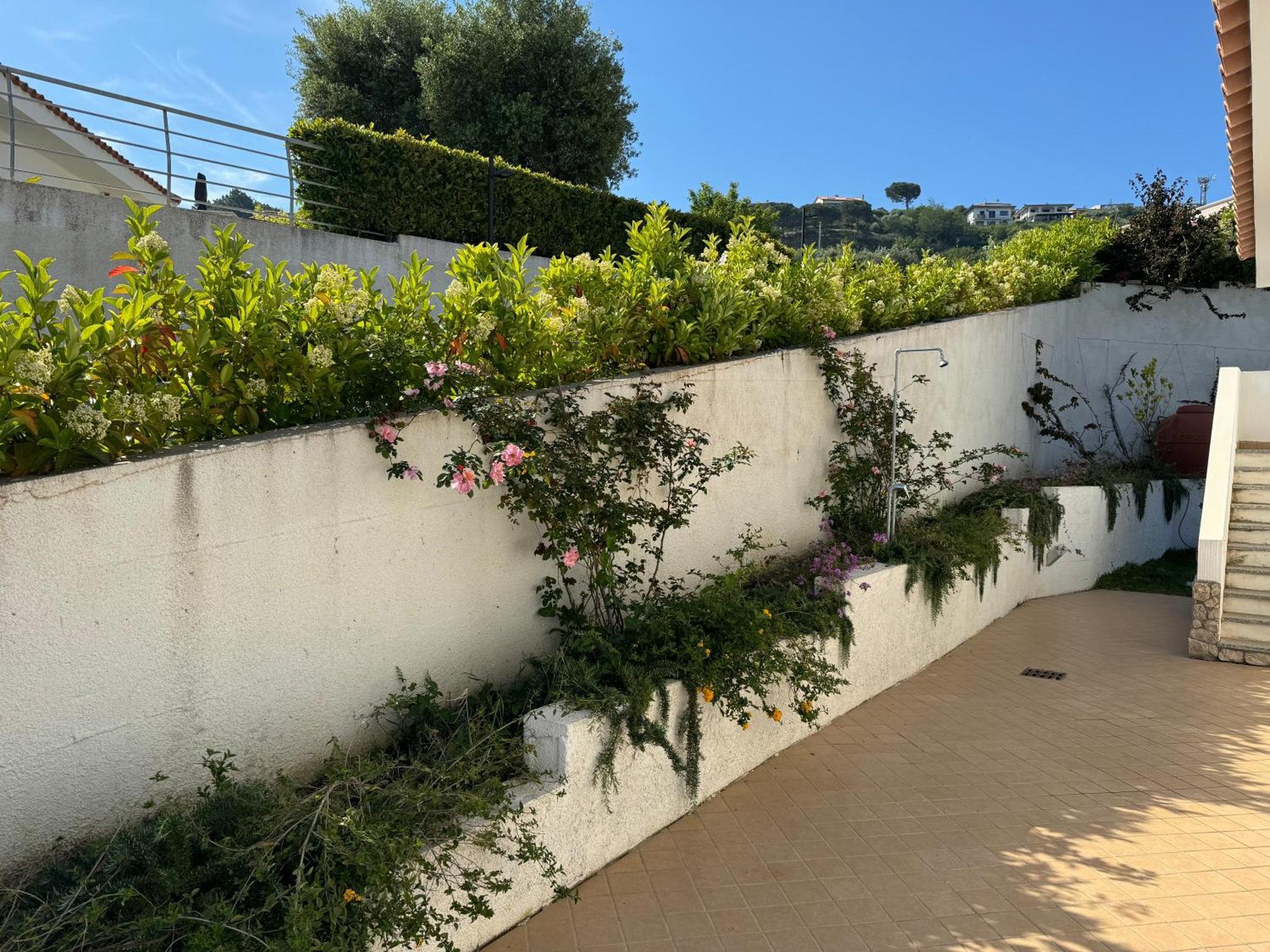 Villa Dei Fiori Zambrone Buitenkant foto