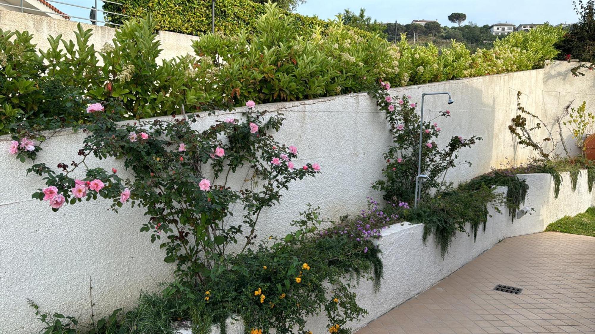 Villa Dei Fiori Zambrone Buitenkant foto
