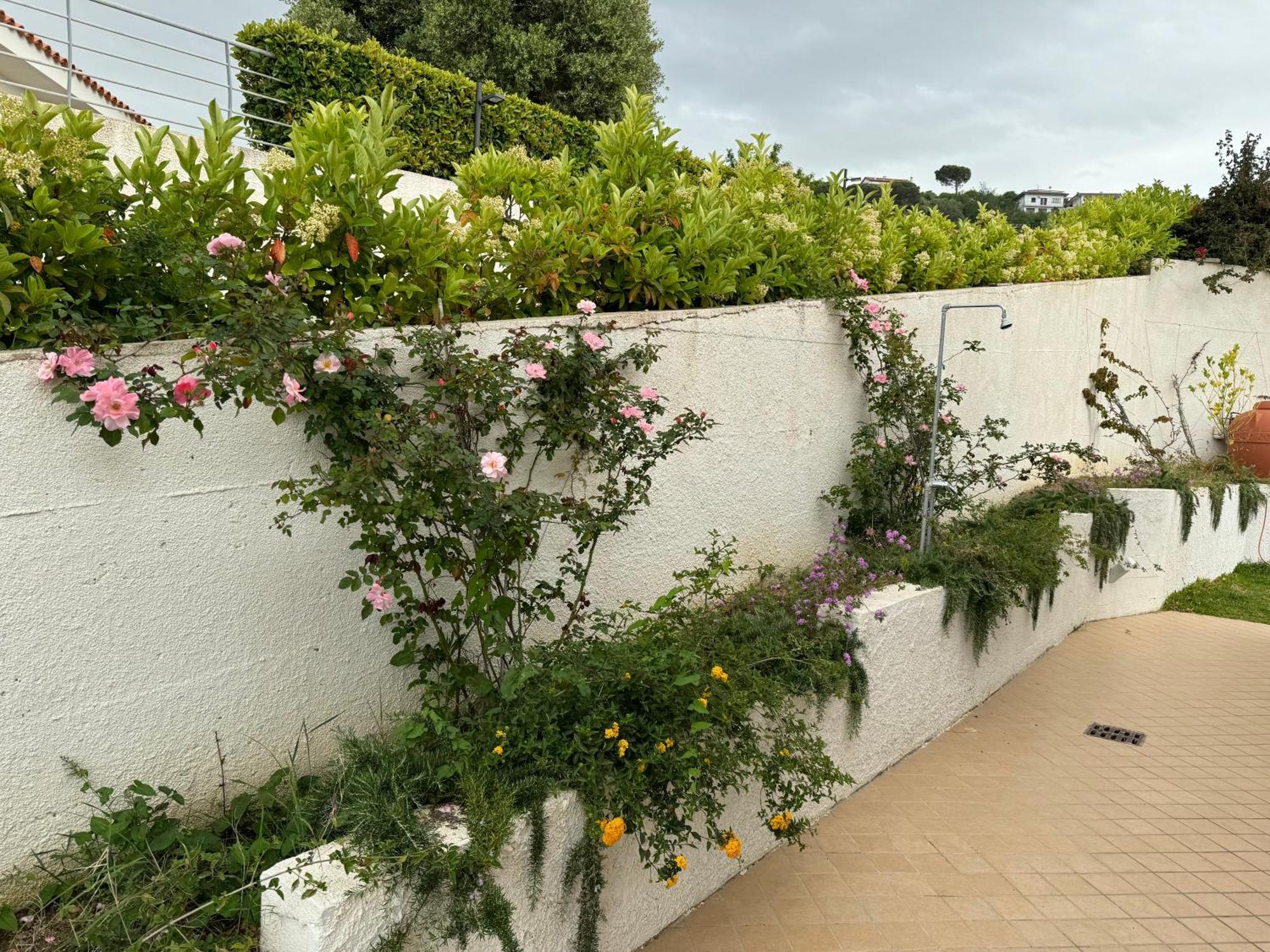 Villa Dei Fiori Zambrone Buitenkant foto